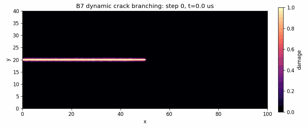 Dynamic crack branching damage evolution