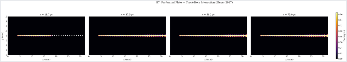 Perforated plate microstructure damage field